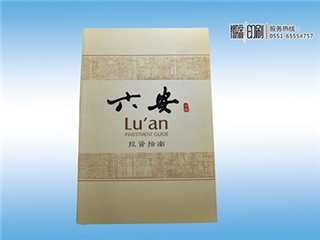 宣傳畫冊